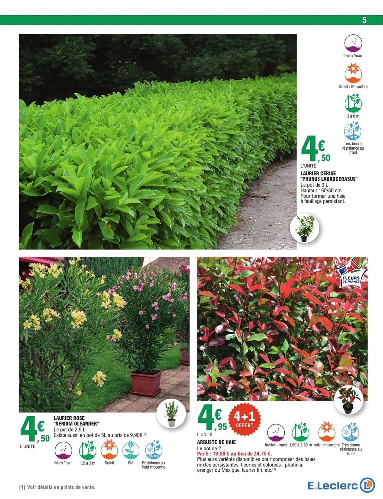 Catalogue E.Leclerc du 16 février au 28 février 2026 - Catalogue page 5