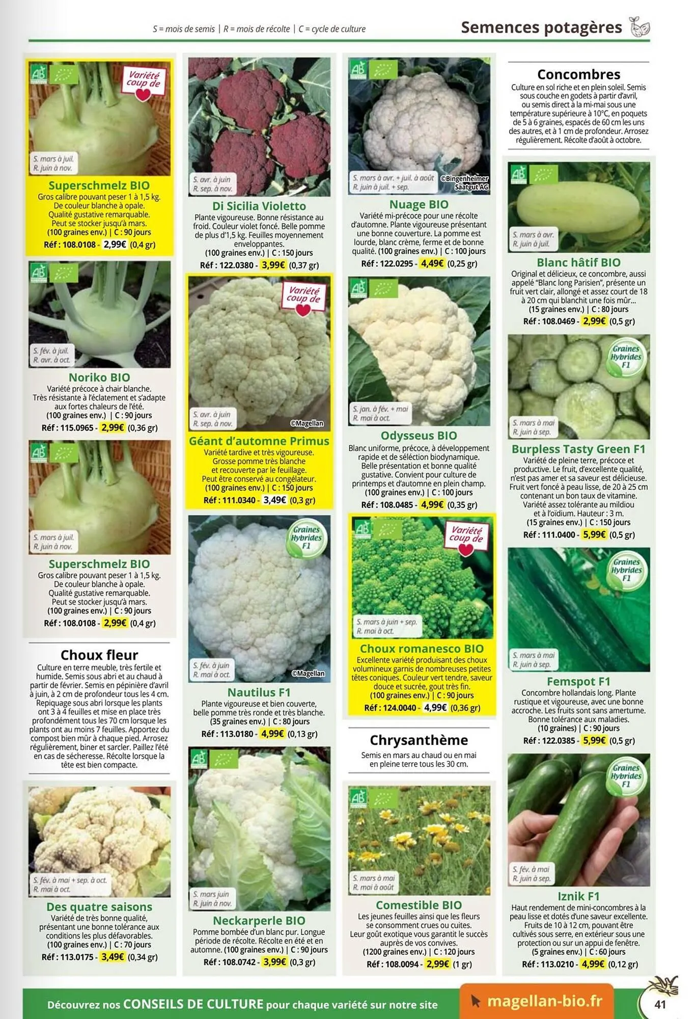 Catalogue Magellan du 1 janvier au 31 décembre 2026 - Catalogue page 41