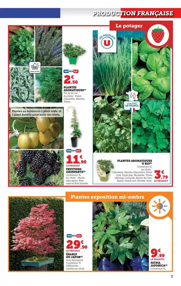 Spécial Jardin du 15 avril au 27 avril 2025 - Catalogue page 5