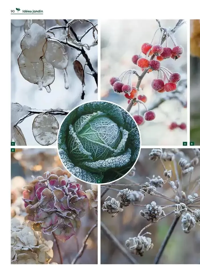 Hiver 2024 du 4 décembre au 20 mars 2025 - Catalogue page 90