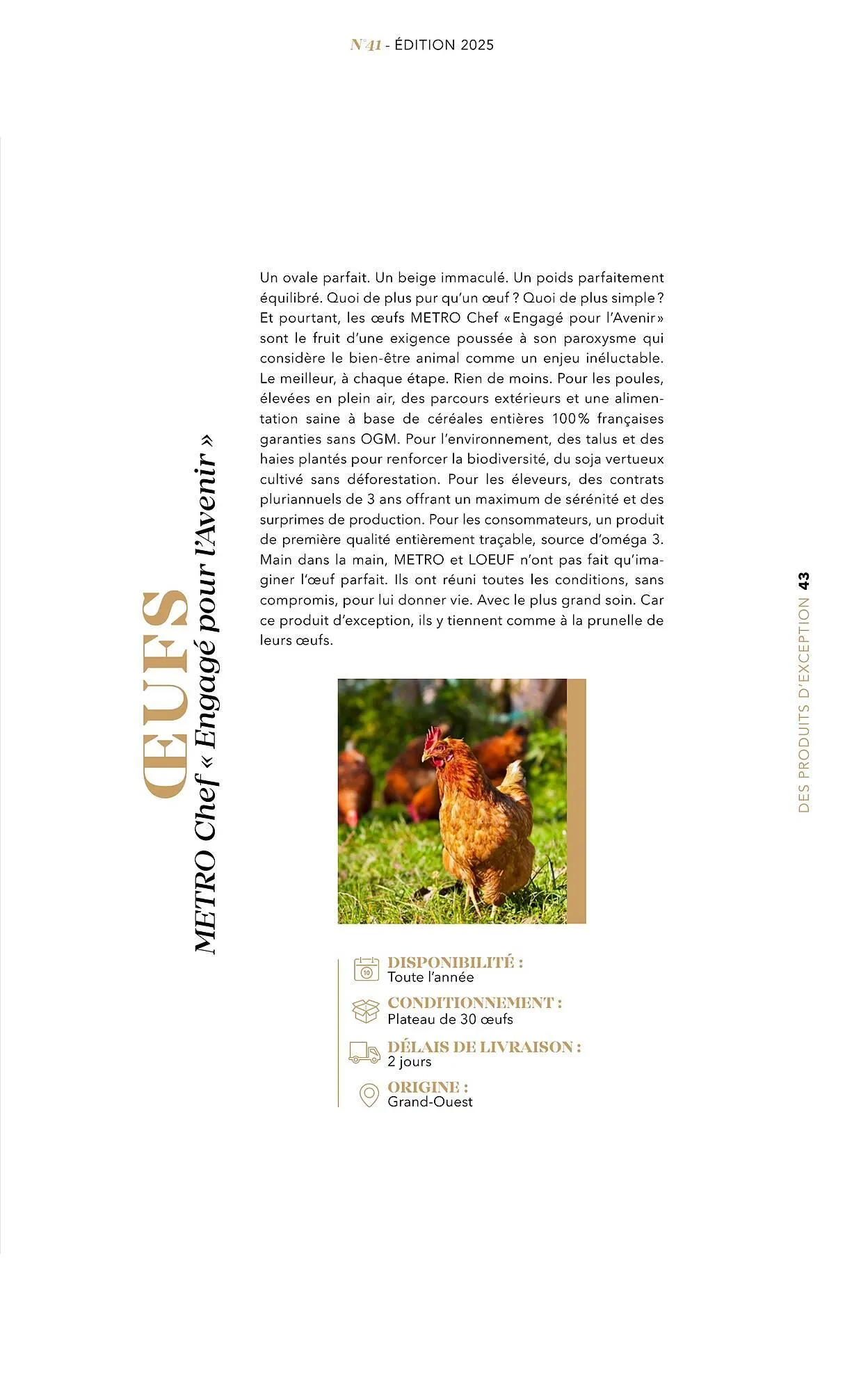 Catalogue METRO du 1 juillet au 31 décembre 2025 - Catalogue page 43