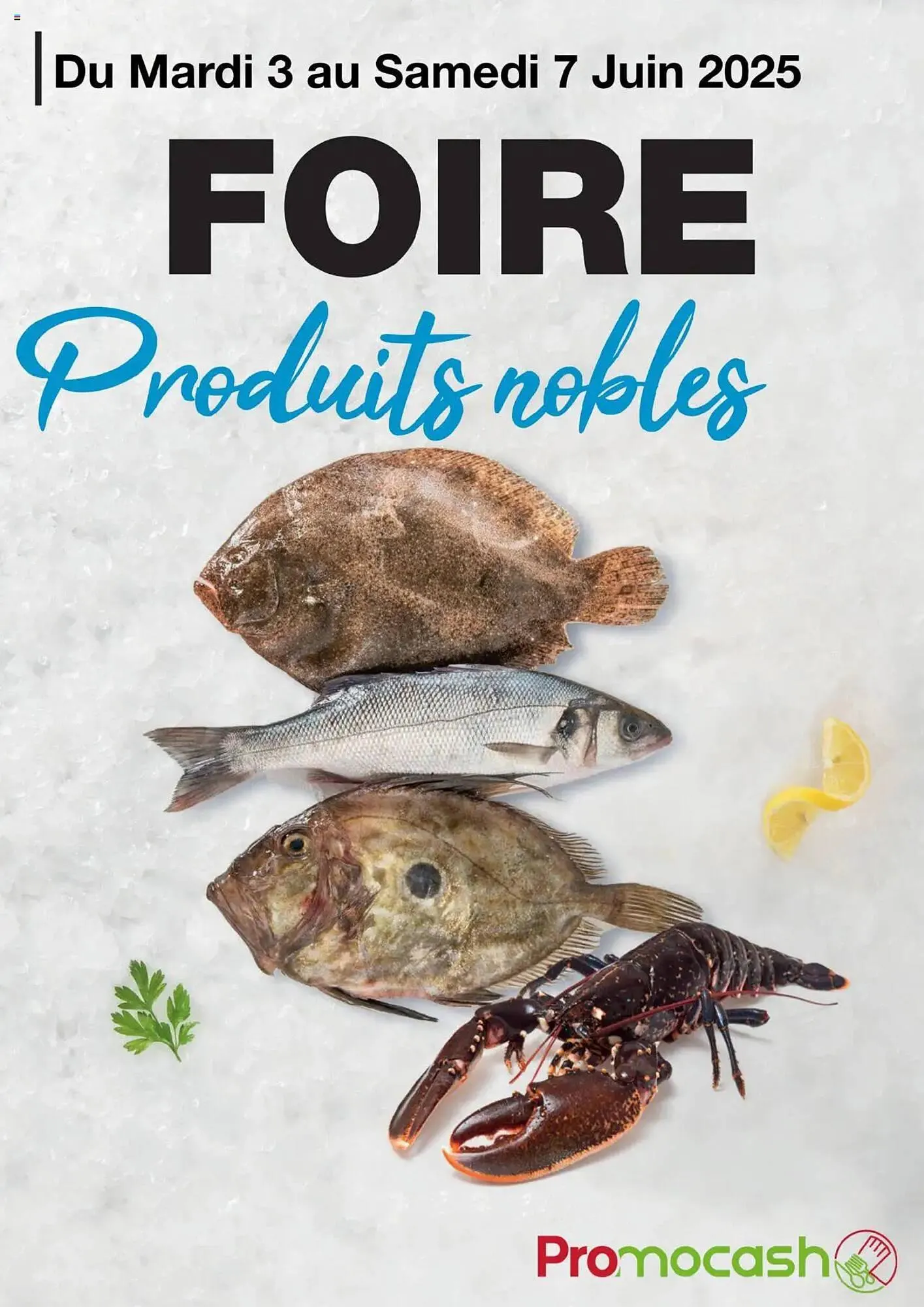 Catalogue Promocash du 3 juin au 7 juin 2025 - Catalogue page 1