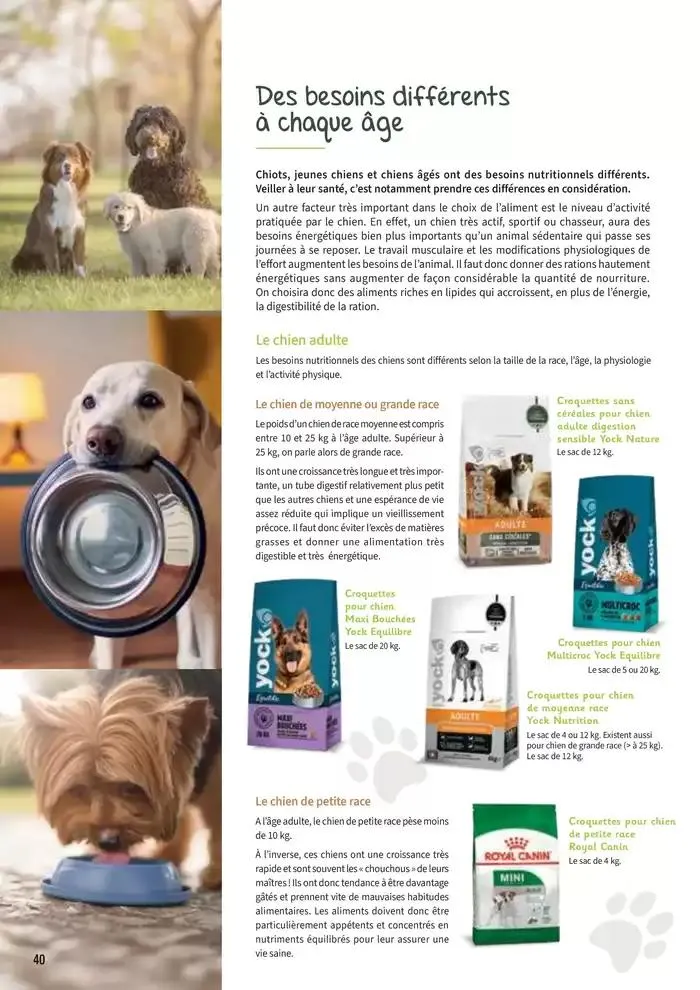 Le guide CHIENS & CHATS du 30 avril au 31 décembre 2025 - Catalogue page 40