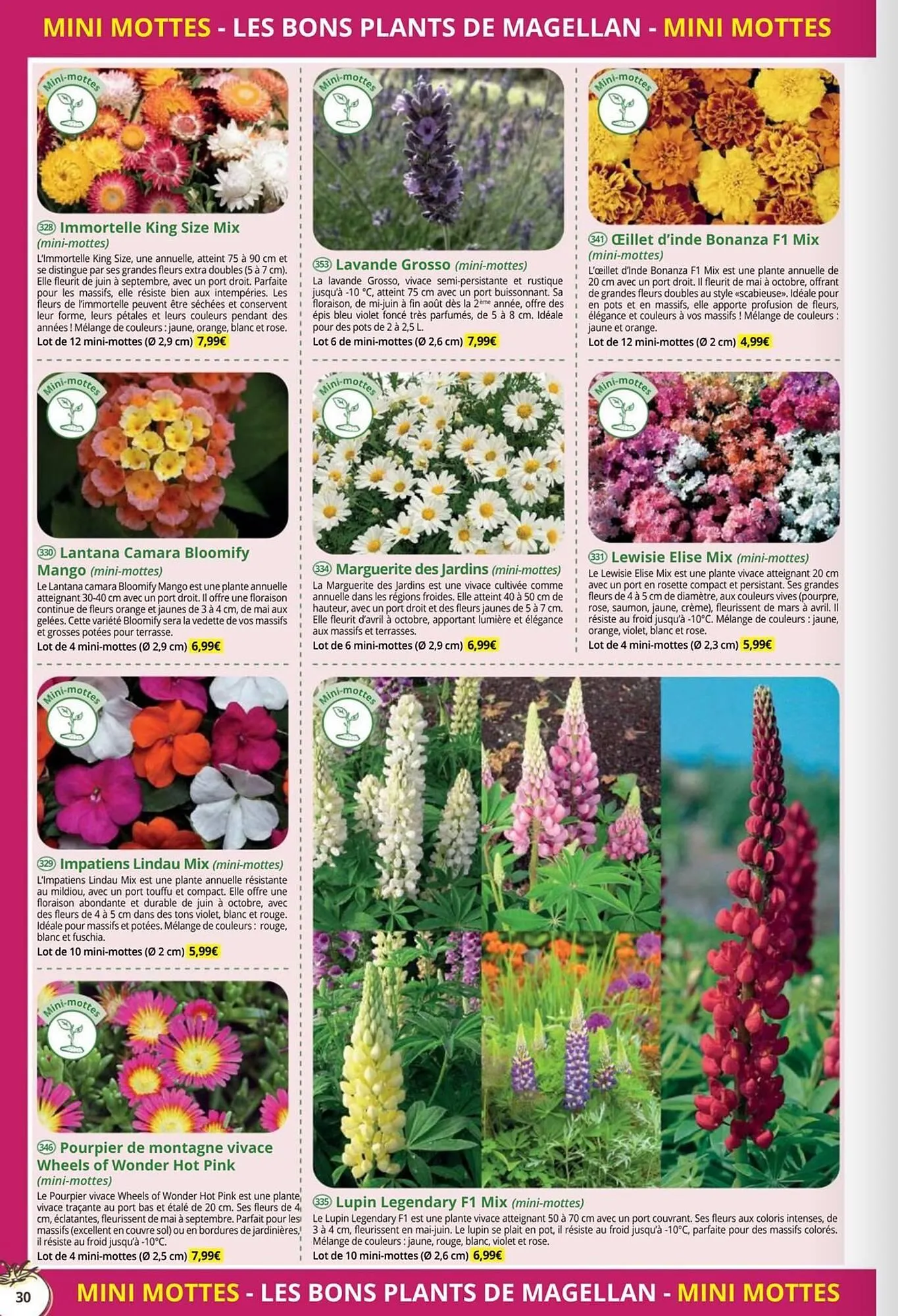 Catalogue Magellan du 1 janvier au 31 décembre 2026 - Catalogue page 30