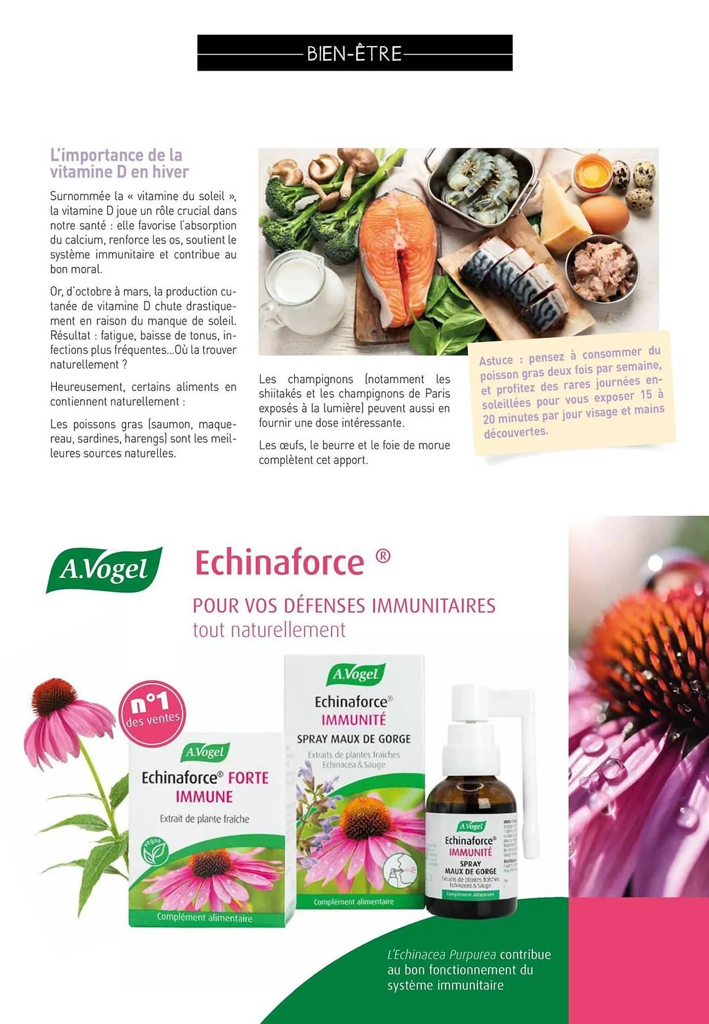 Catalogue naturéO du 22 décembre au 30 avril 2026 - Catalogue page 21