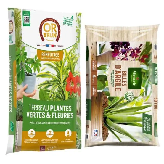 Terreau Or Brun Plantes Vertes 20L + Billes d'argile : Rempotage facile et durable