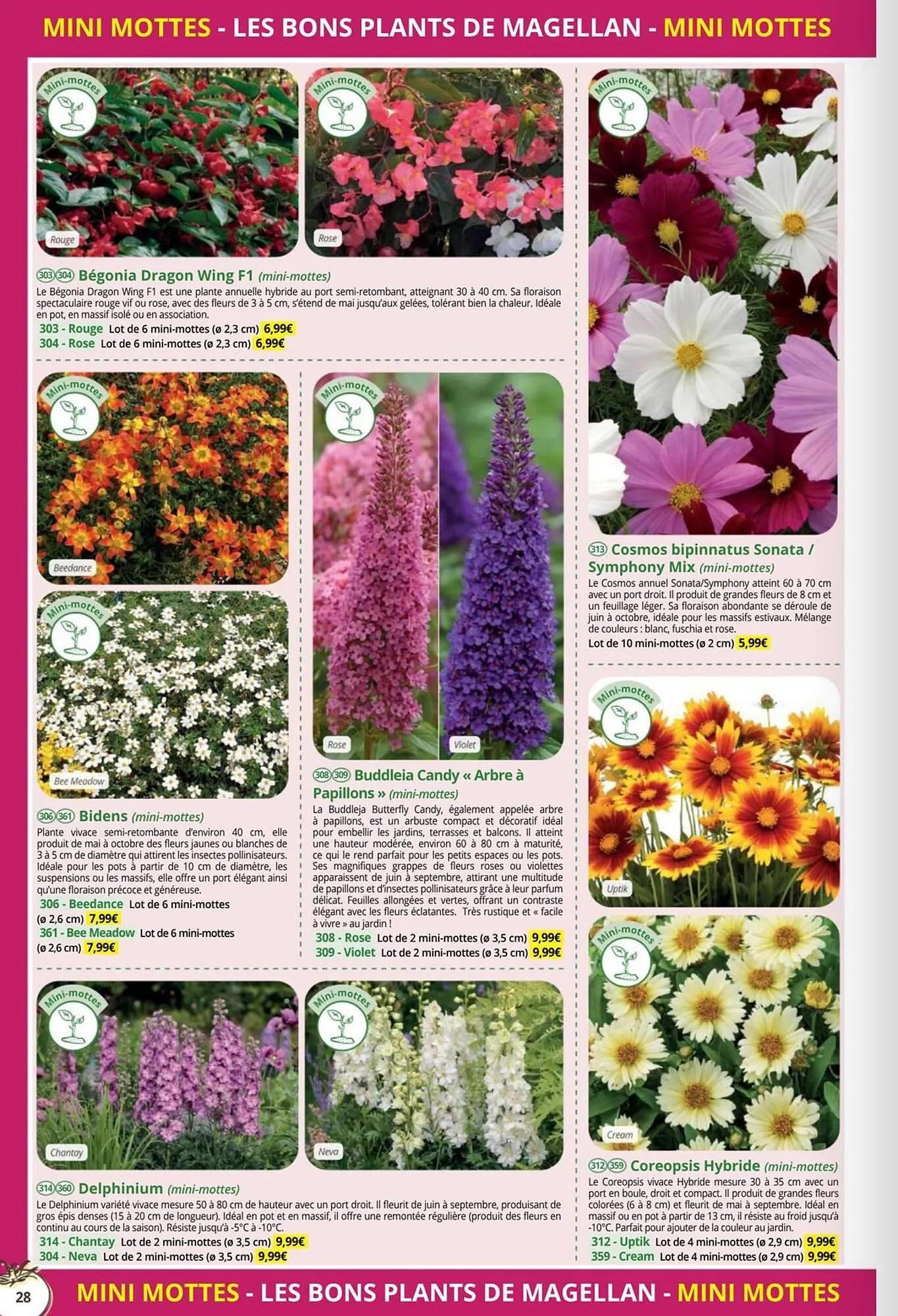 Catalogue Magellan du 1 janvier au 31 décembre 2026 - Catalogue page 28
