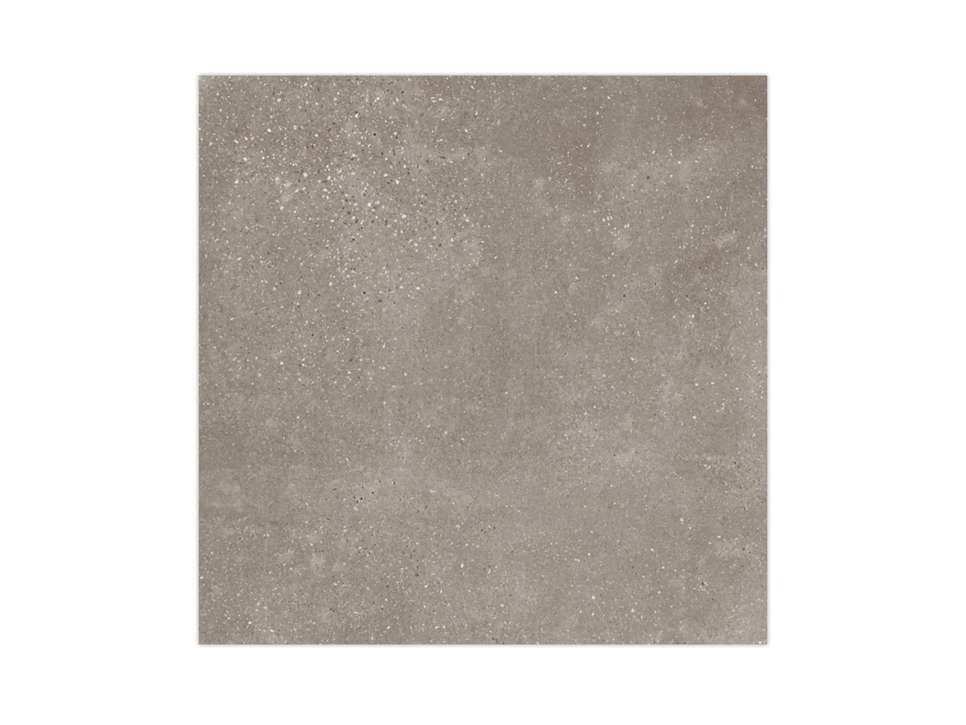 Bottega Topo 59,6X59,6