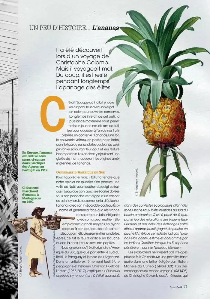 Hiver 2024 du 3 décembre au 20 mars 2025 - Catalogue page 71