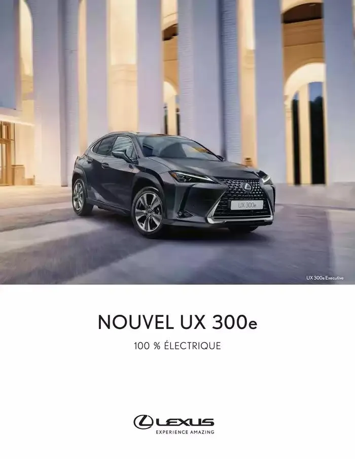 Lexus NOUVEL UX 300e - 1