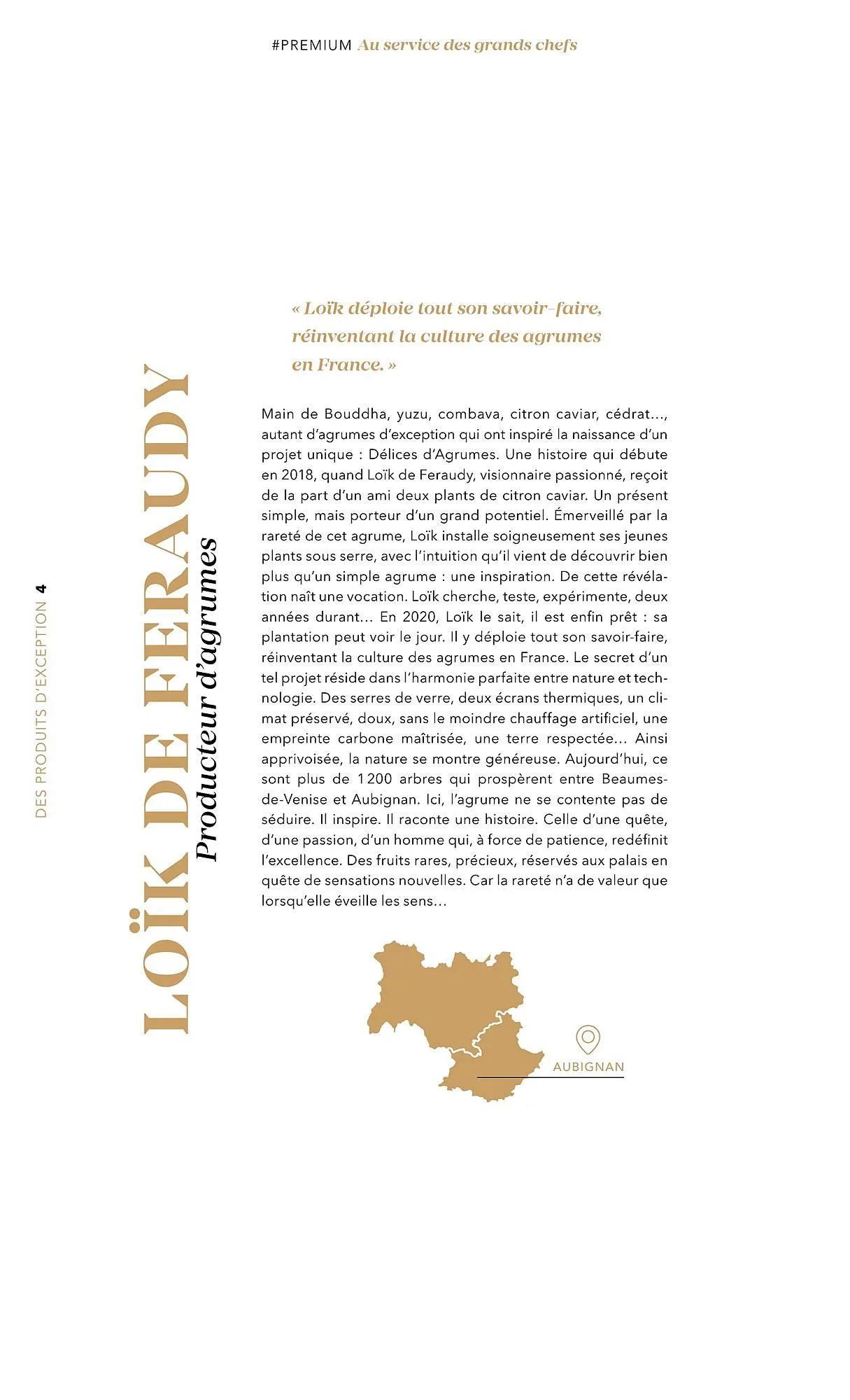 Catalogue METRO du 1 juillet au 31 décembre 2025 - Catalogue page 4