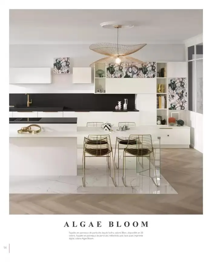 SCHMIDT 2025 du 8 janvier au 31 décembre 2025 - Catalogue page 14