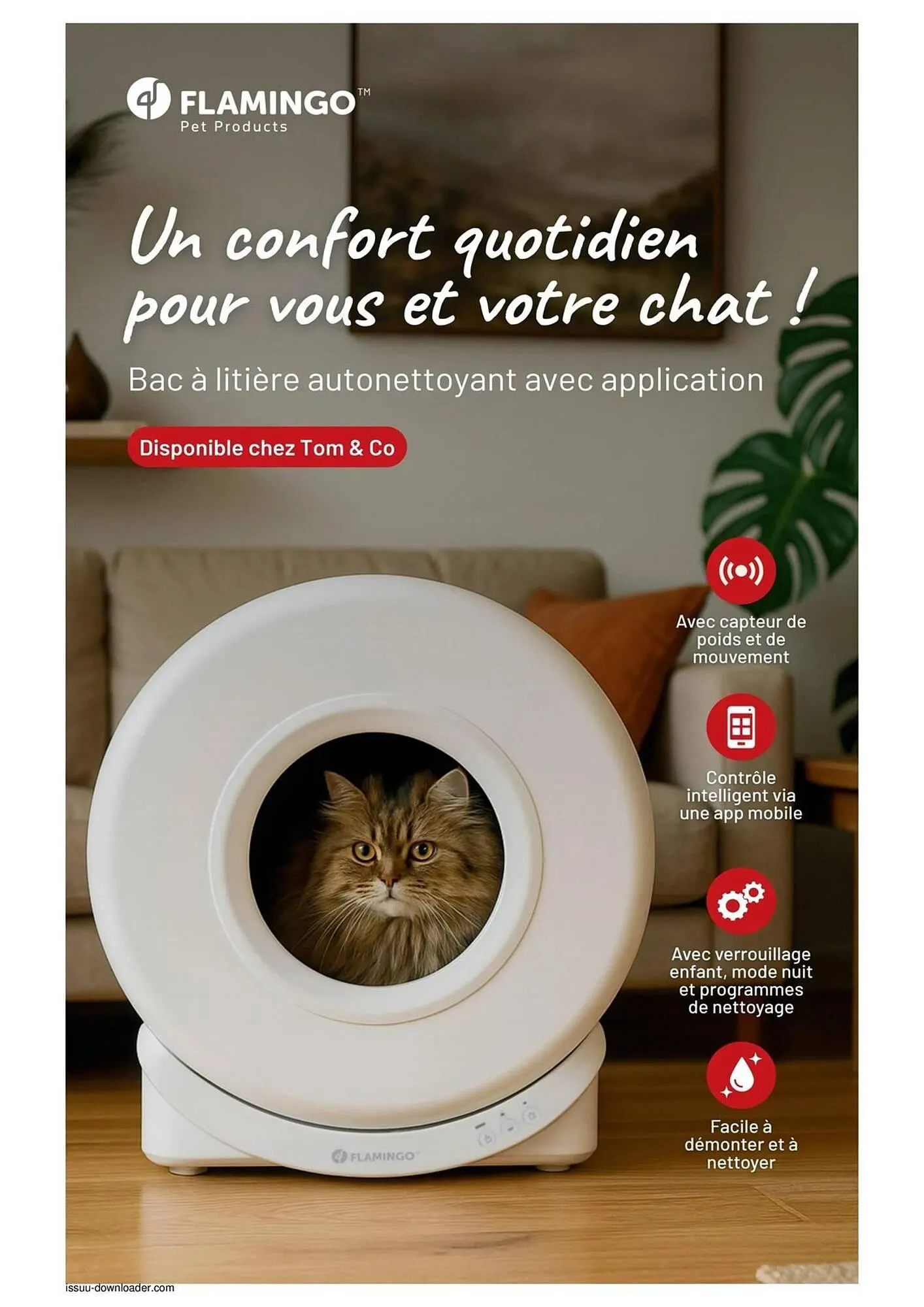 Catalogue Tom&Co du 15 décembre au 28 décembre 2025 - Catalogue page 6