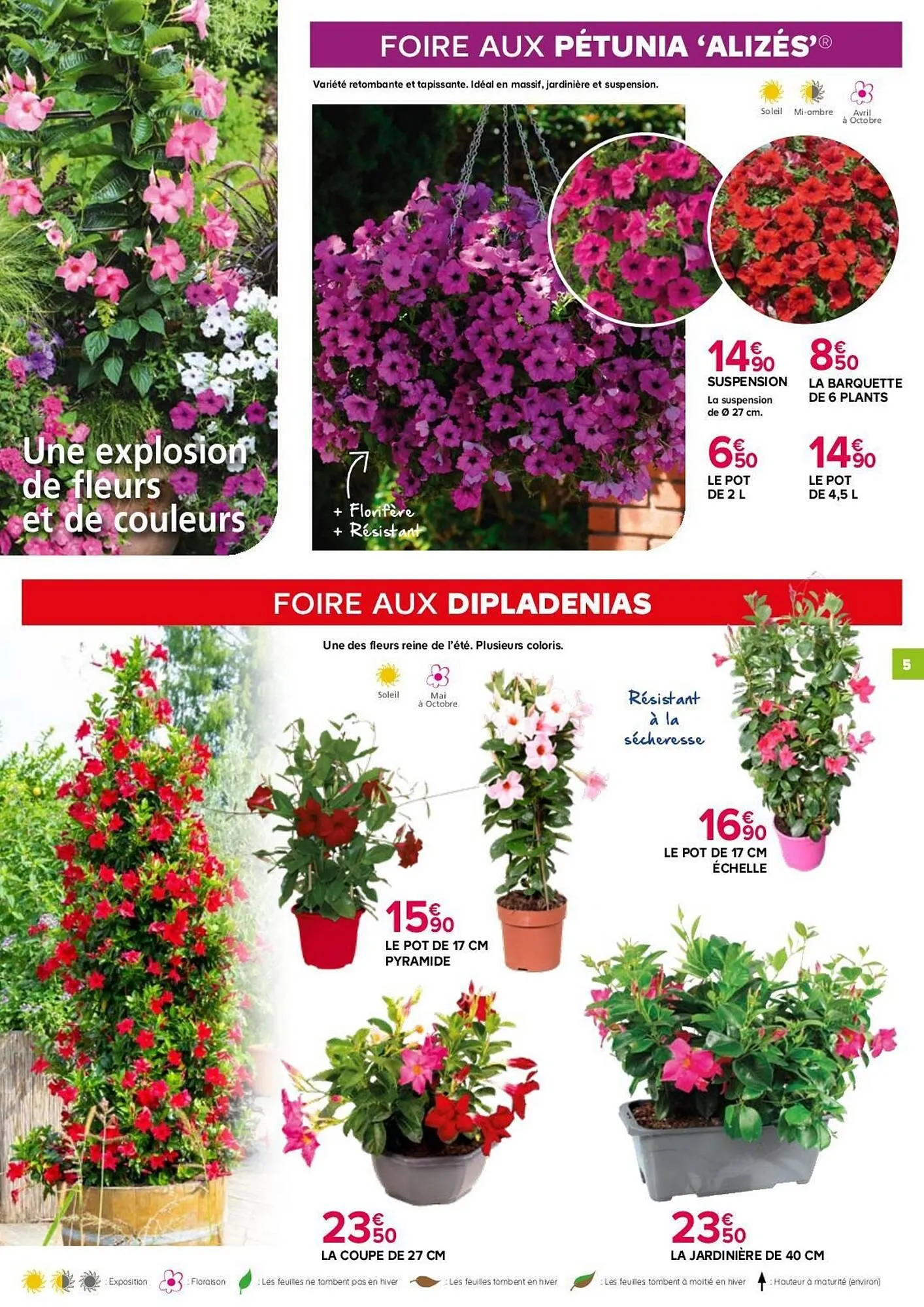 Catalogue Kiriel du 4 avril au 30 mai 2026 - Catalogue page 5