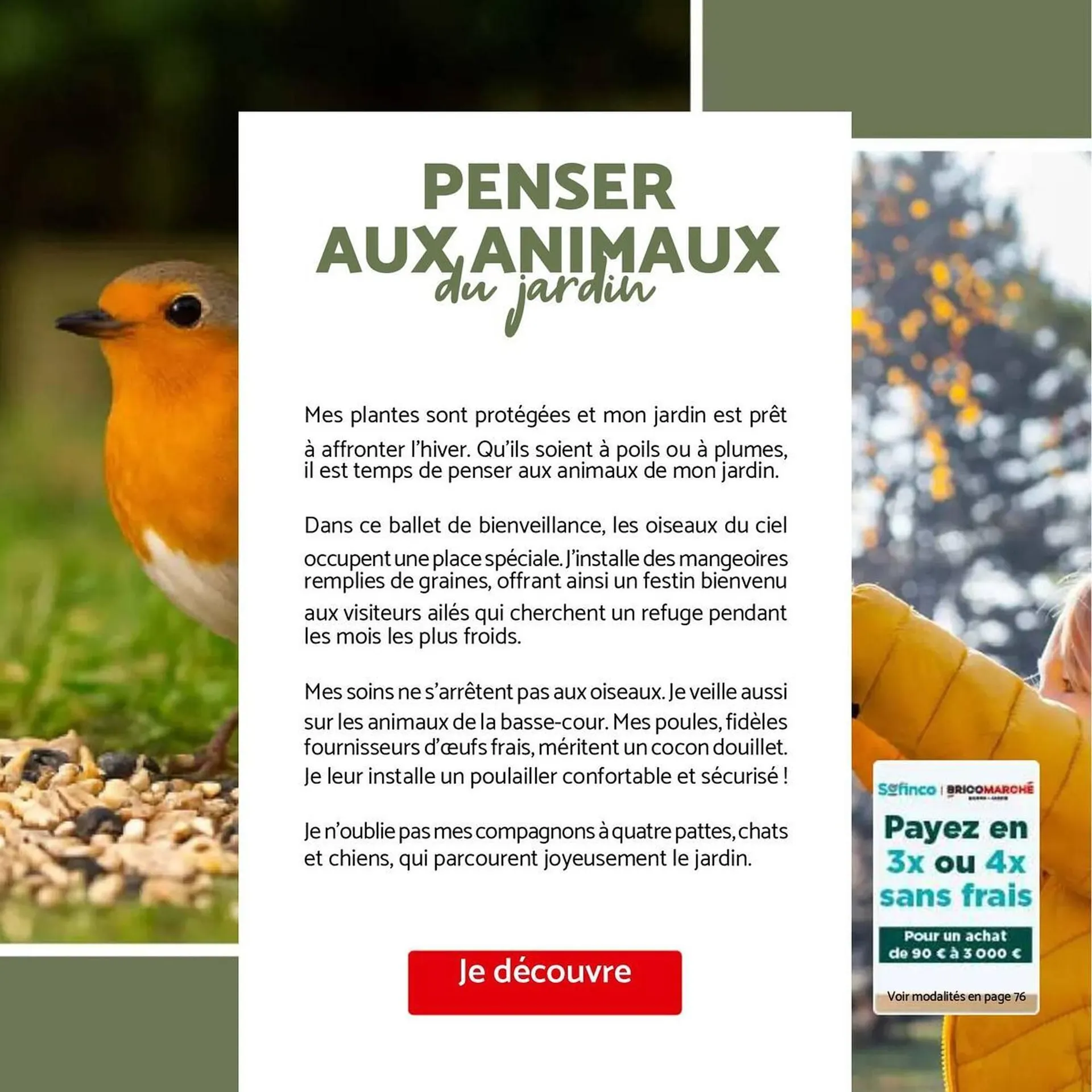 Catalogue Bricomarché du 1 octobre au 29 novembre 2025 - Catalogue page 67