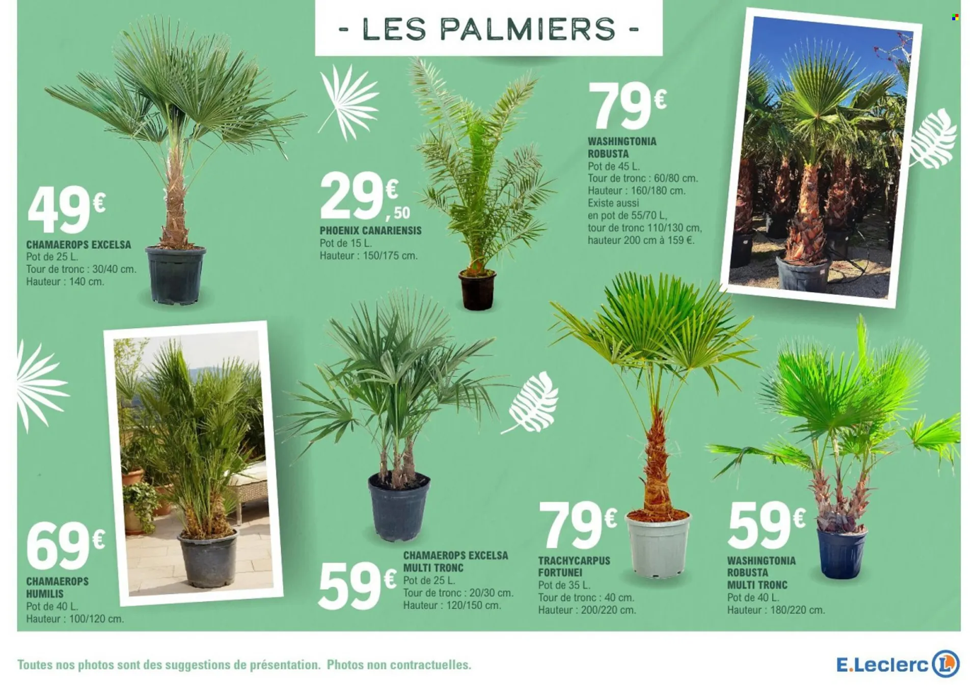 Catalogue E.Leclerc du 17 mars au 28 mars 2026 - Catalogue page 5