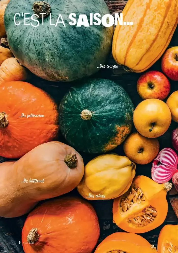 Hiver 2024 du 3 décembre au 20 mars 2025 - Catalogue page 6