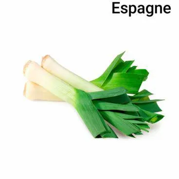 Poireau 500g Bio