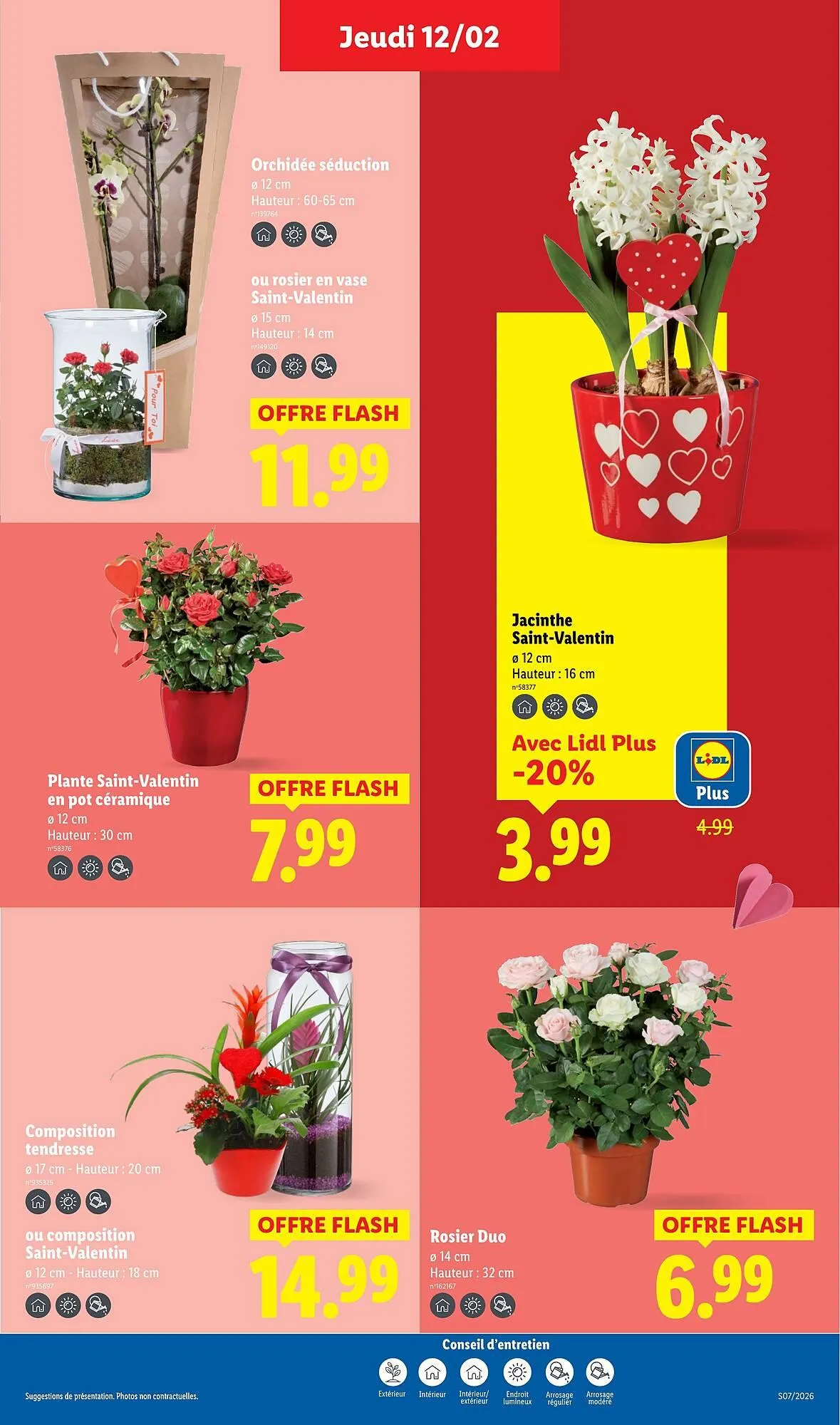 Catalogue Lidl du 12 février au 18 février 2026 - Catalogue page 33