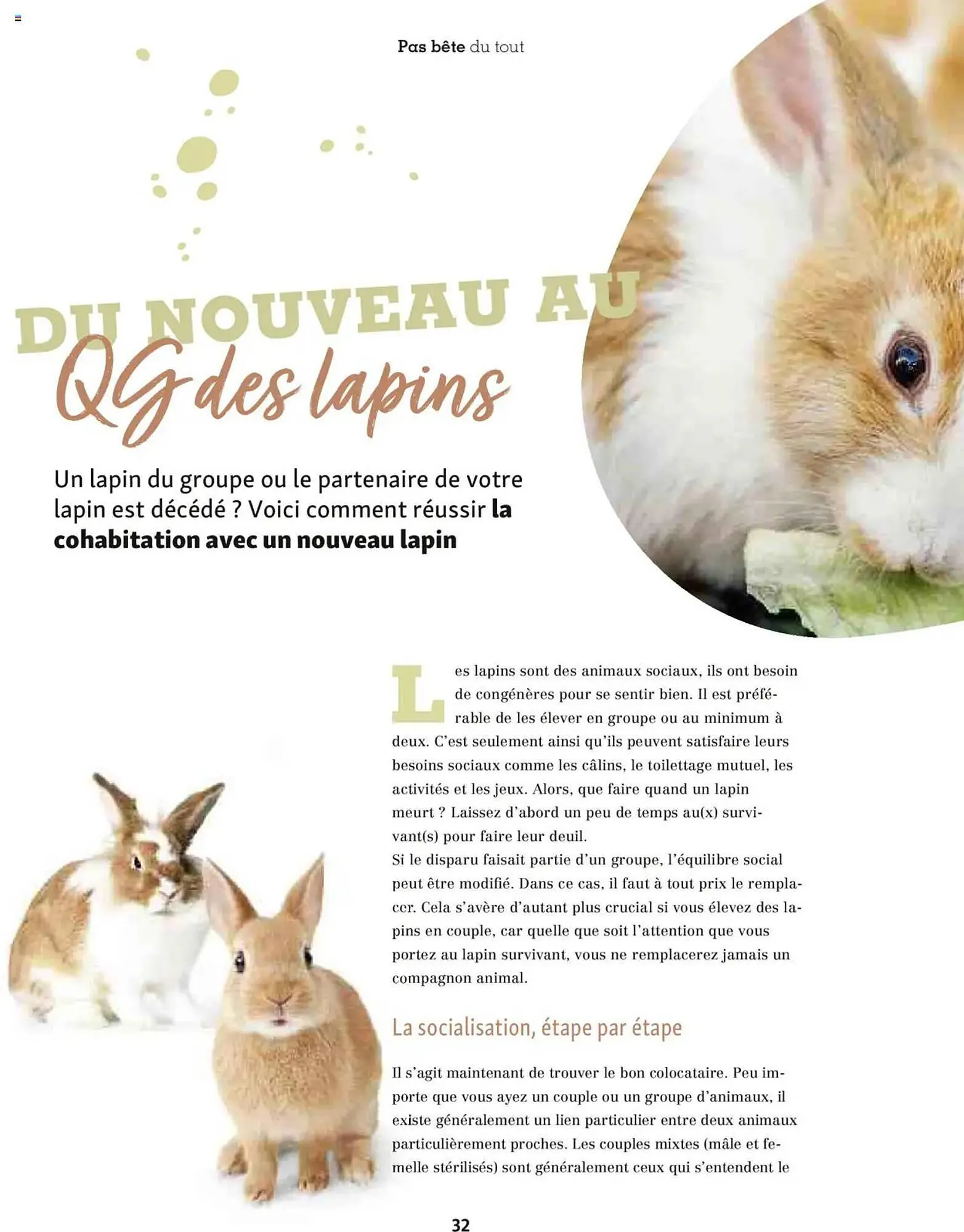 Catalogue Maxi Zoo du 1 octobre au 20 novembre 2025 - Catalogue page 32