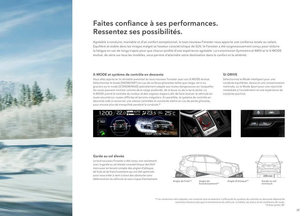 Forester du 13 décembre au 31 juillet 2025 - Catalogue page 7