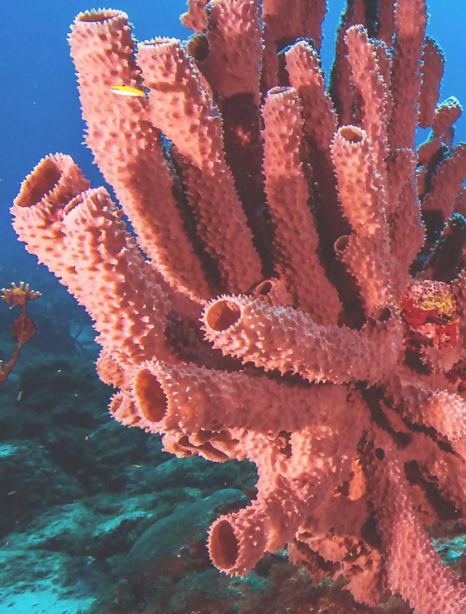 Catalogue Porcelanosa du 2 octobre au 31 décembre 2025 - Catalogue page 42