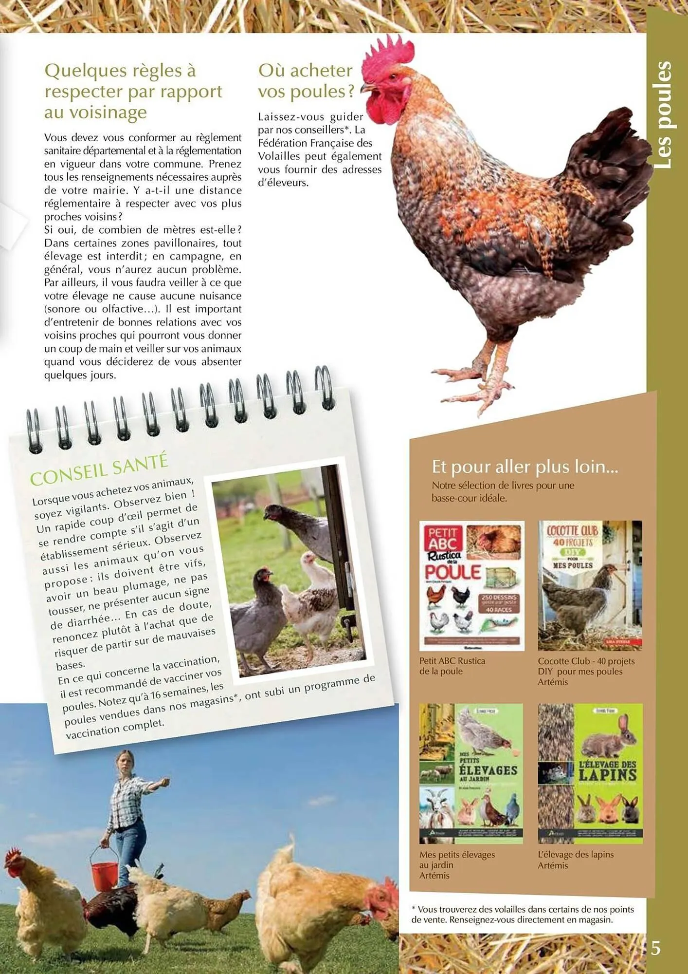 Catalogue Point Vert du 30 avril au 31 décembre 2025 - Catalogue page 5