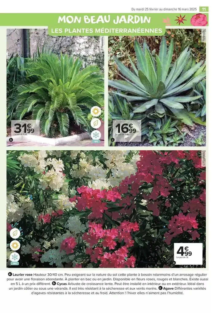 PROFITER ENFIN DE SON JARDIN du 25 février au 16 mars 2025 - Catalogue page 11