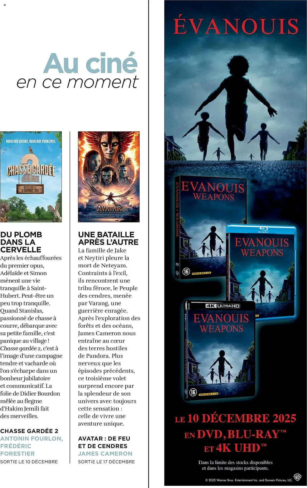 Catalogue Carrefour du 1 décembre au 31 décembre 2025 - Catalogue page 41