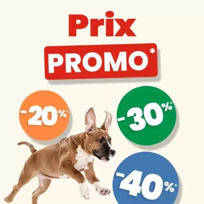 Super Deal ! du 17 mars au 5 avril 2025 - Catalogue page 3