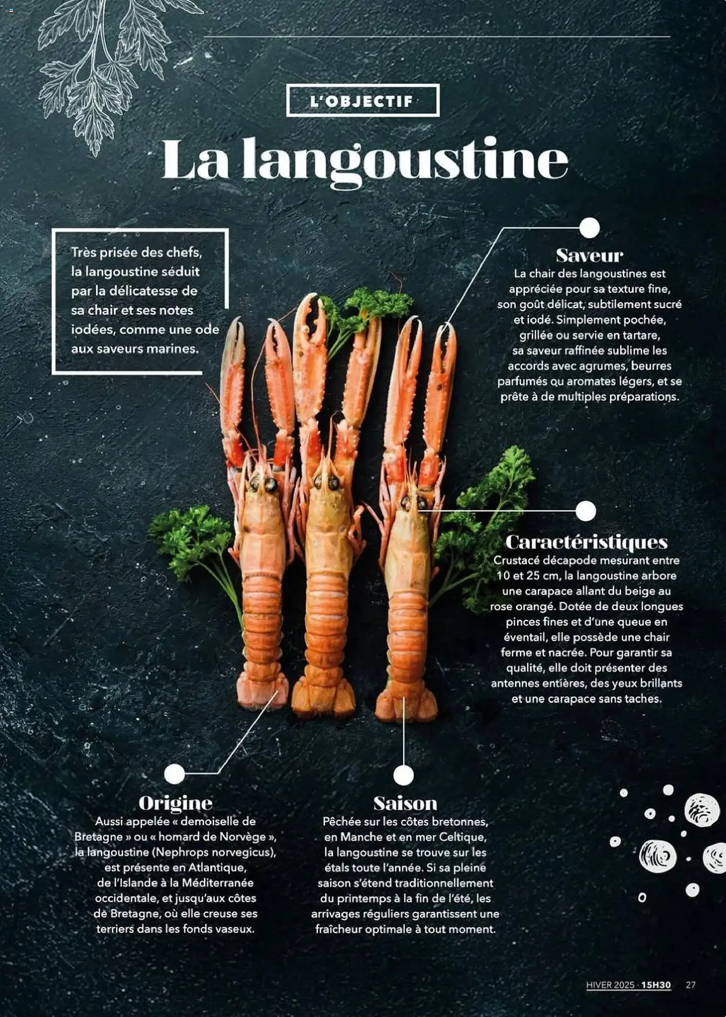 Catalogue METRO du 1 décembre au 22 janvier 2026 - Catalogue page 27