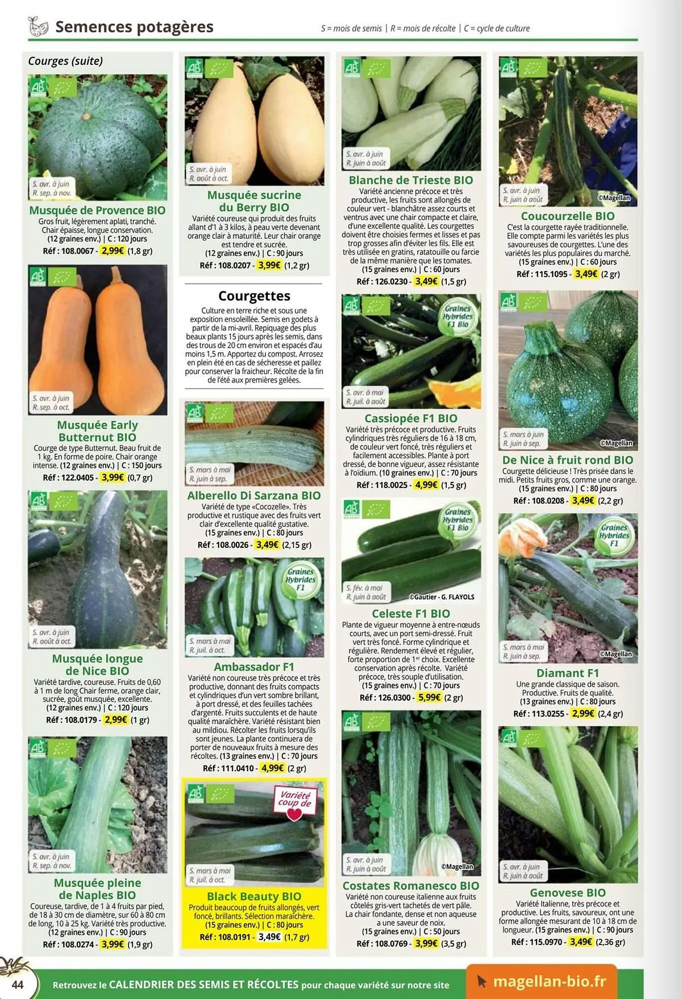 Catalogue Magellan du 1 janvier au 31 décembre 2026 - Catalogue page 44