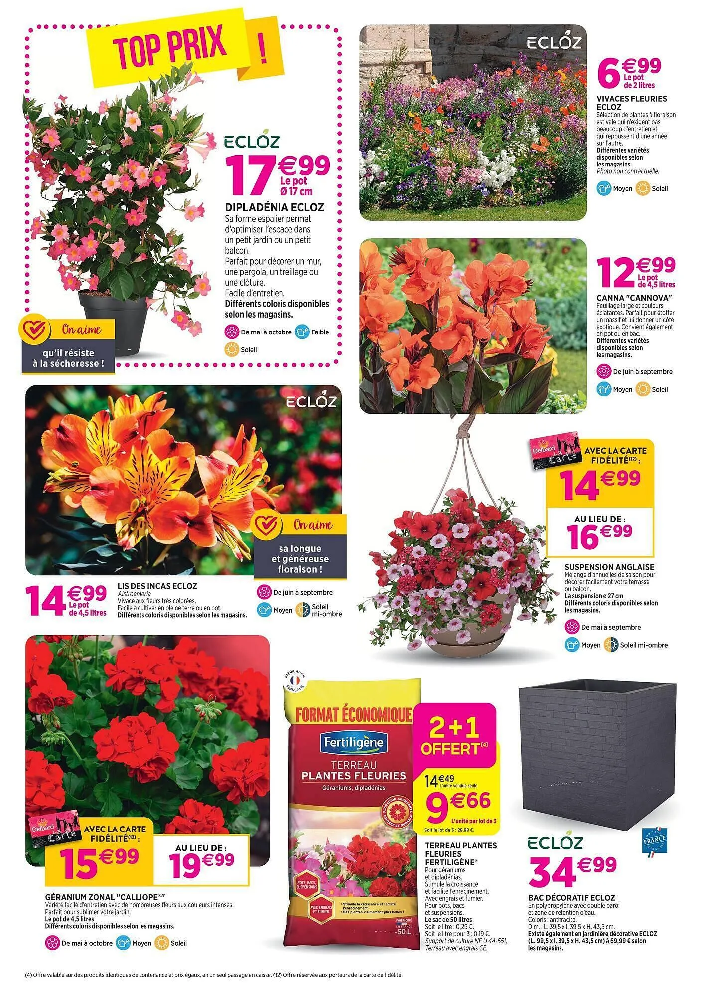 Catalogue Delbard du 6 mai au 17 mai 2026 - Catalogue page 4