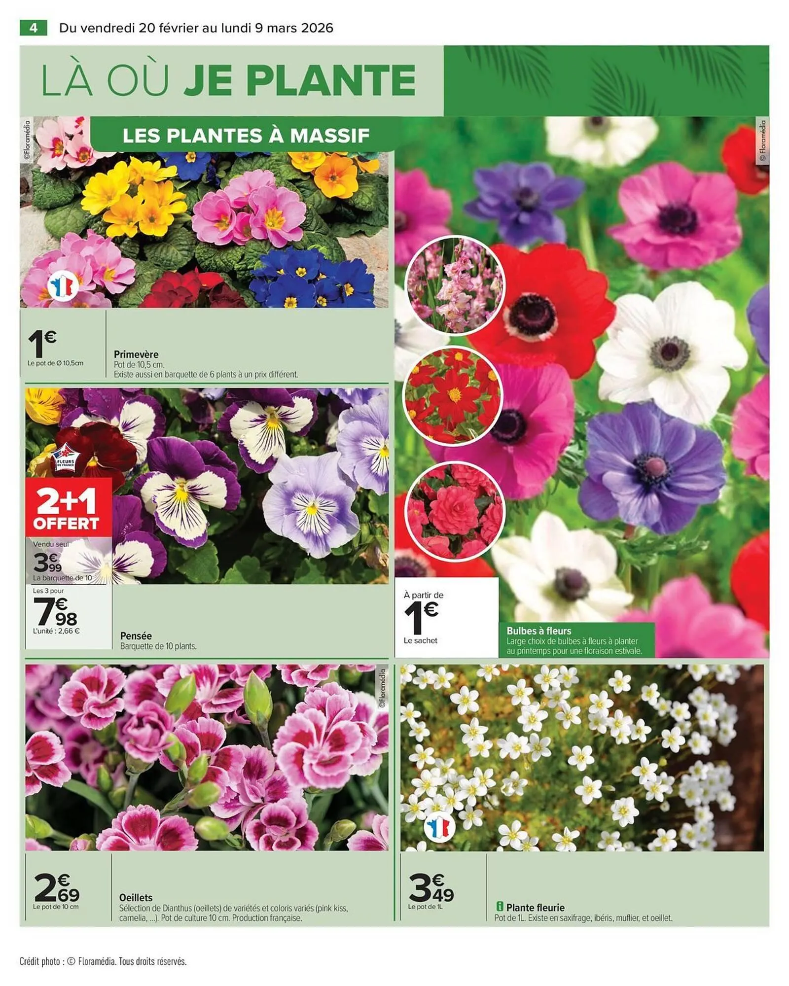 Catalogue Carrefour du 20 février au 9 mars 2026 - Catalogue page 6