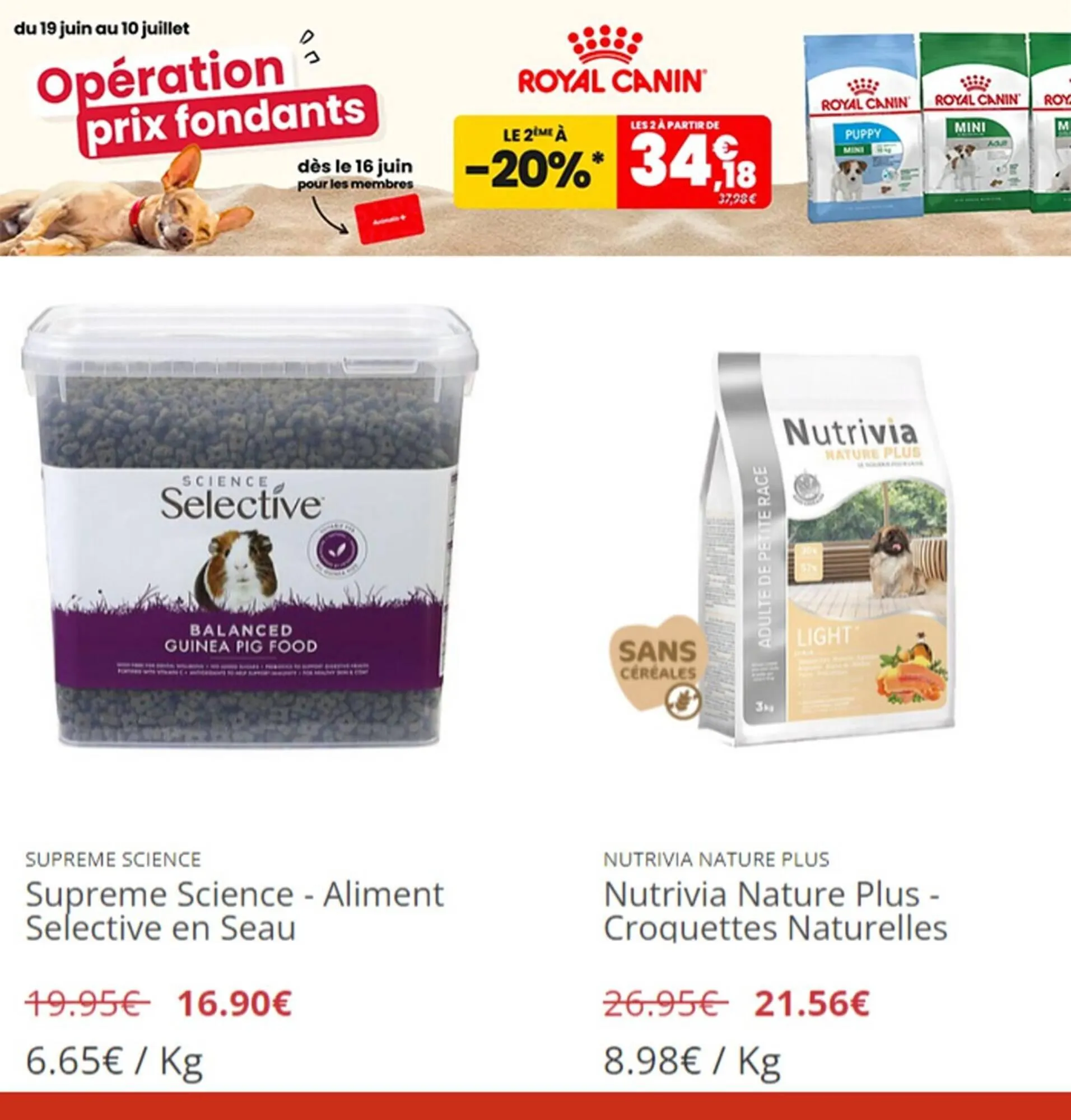 Catalogue Animalis du 29 juin au 10 juillet 2023 - Catalogue page 4