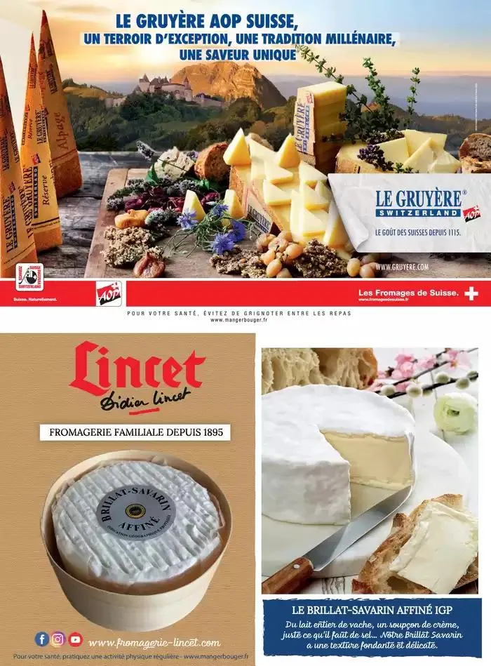 La main Verte du 12 mai au 31 décembre 2025 - Catalogue page 13