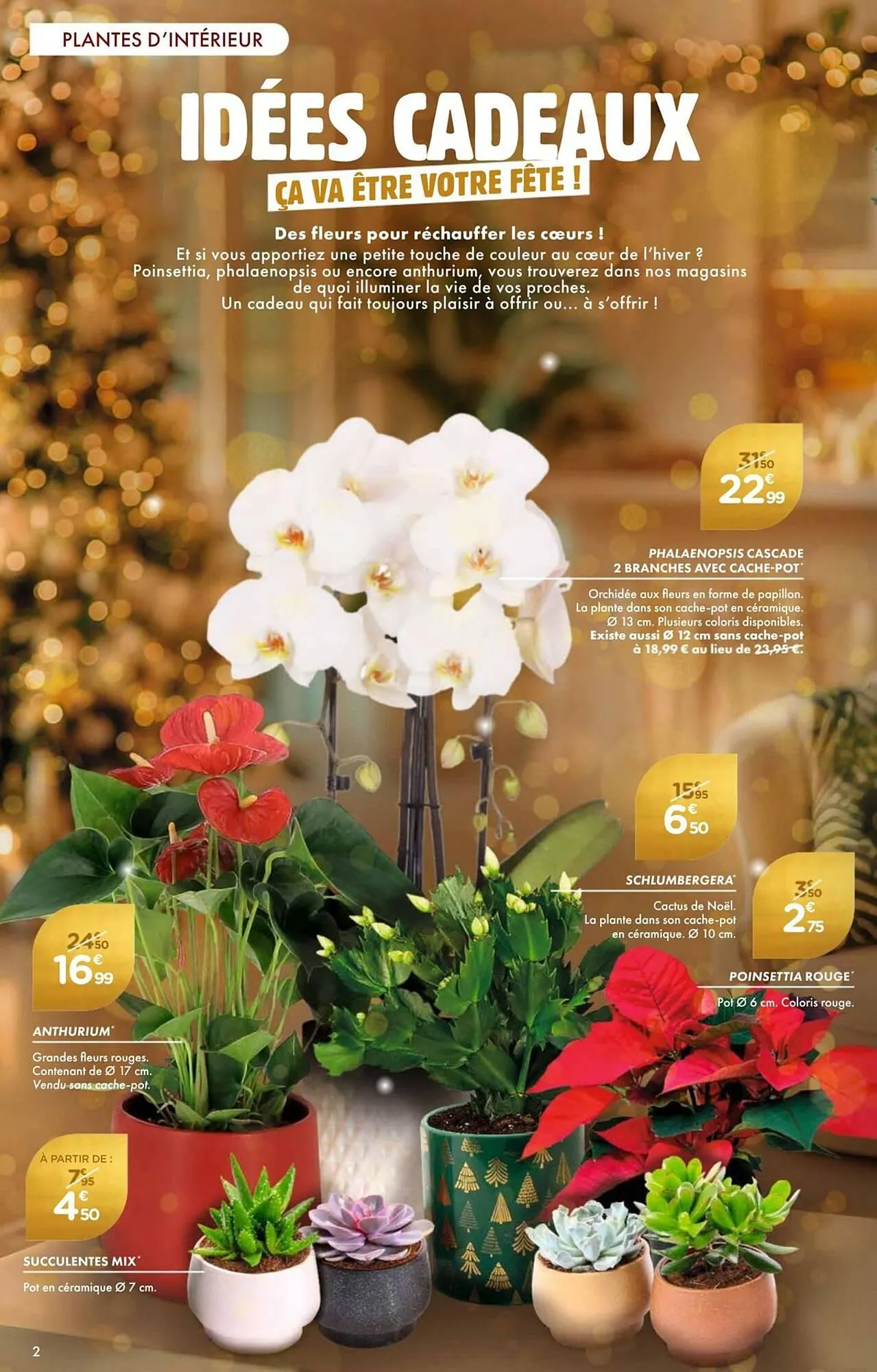 Catalogue Point Vert du 4 décembre au 4 janvier 2026 - Catalogue page 2