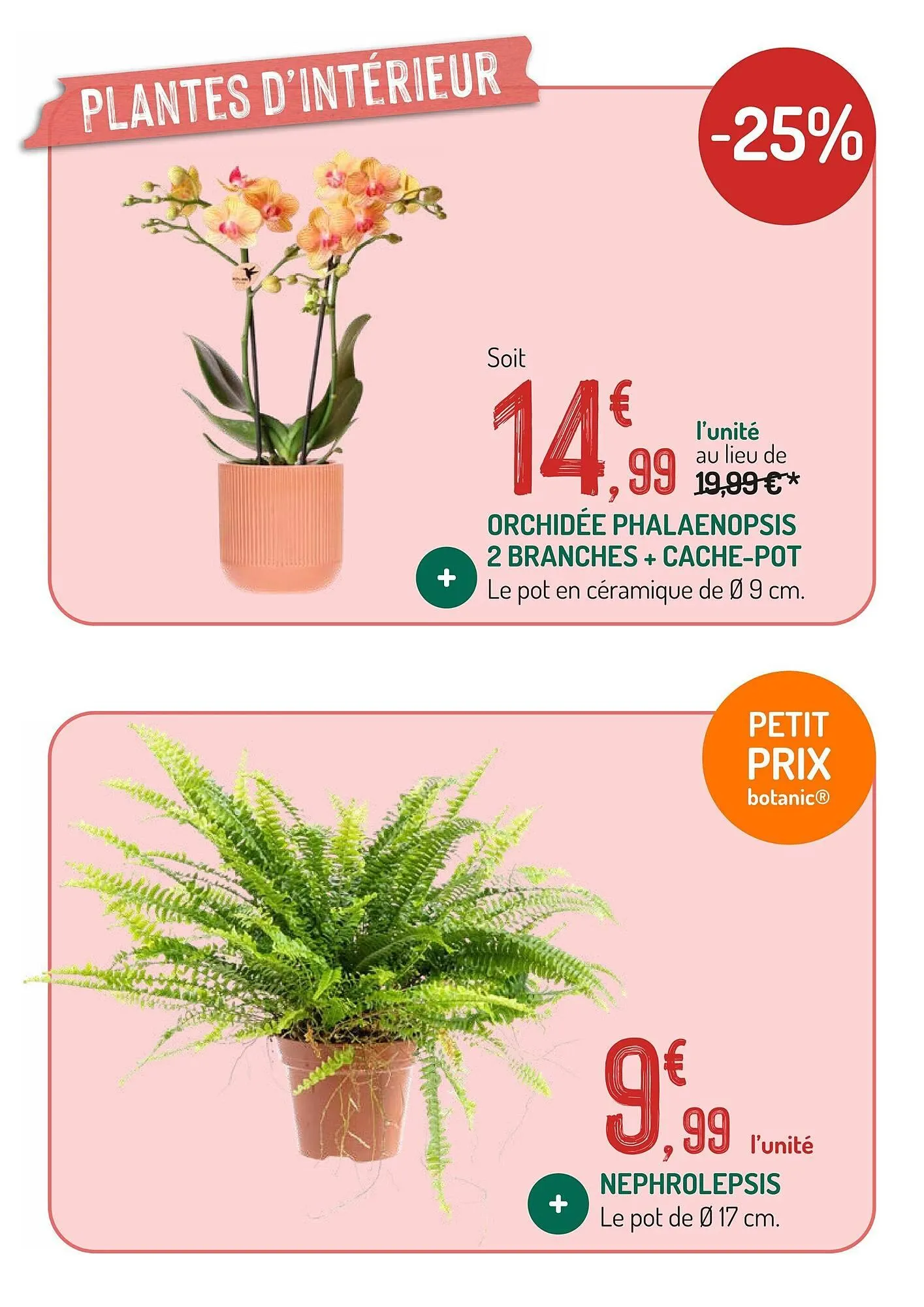 Catalogue Botanic du 30 janvier au 12 février 2026 - Catalogue page 7