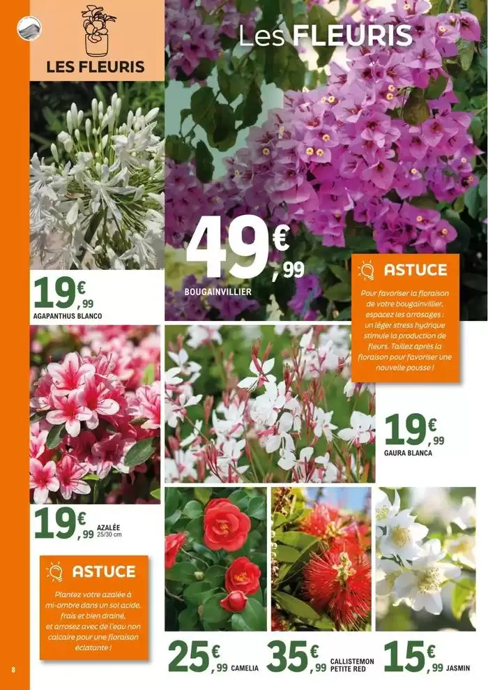 plantes méditerranéennes du 8 avril au 4 mai 2025 - Catalogue page 8