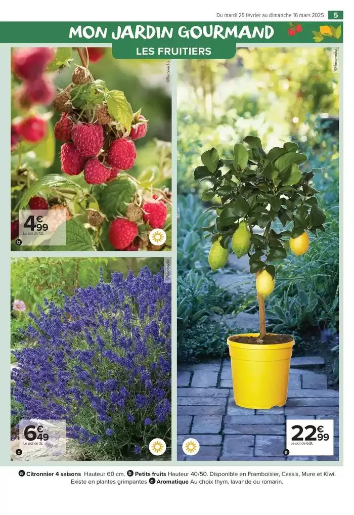 PROFITER ENFIN DE SON JARDIN du 25 février au 16 mars 2025 - Catalogue page 5