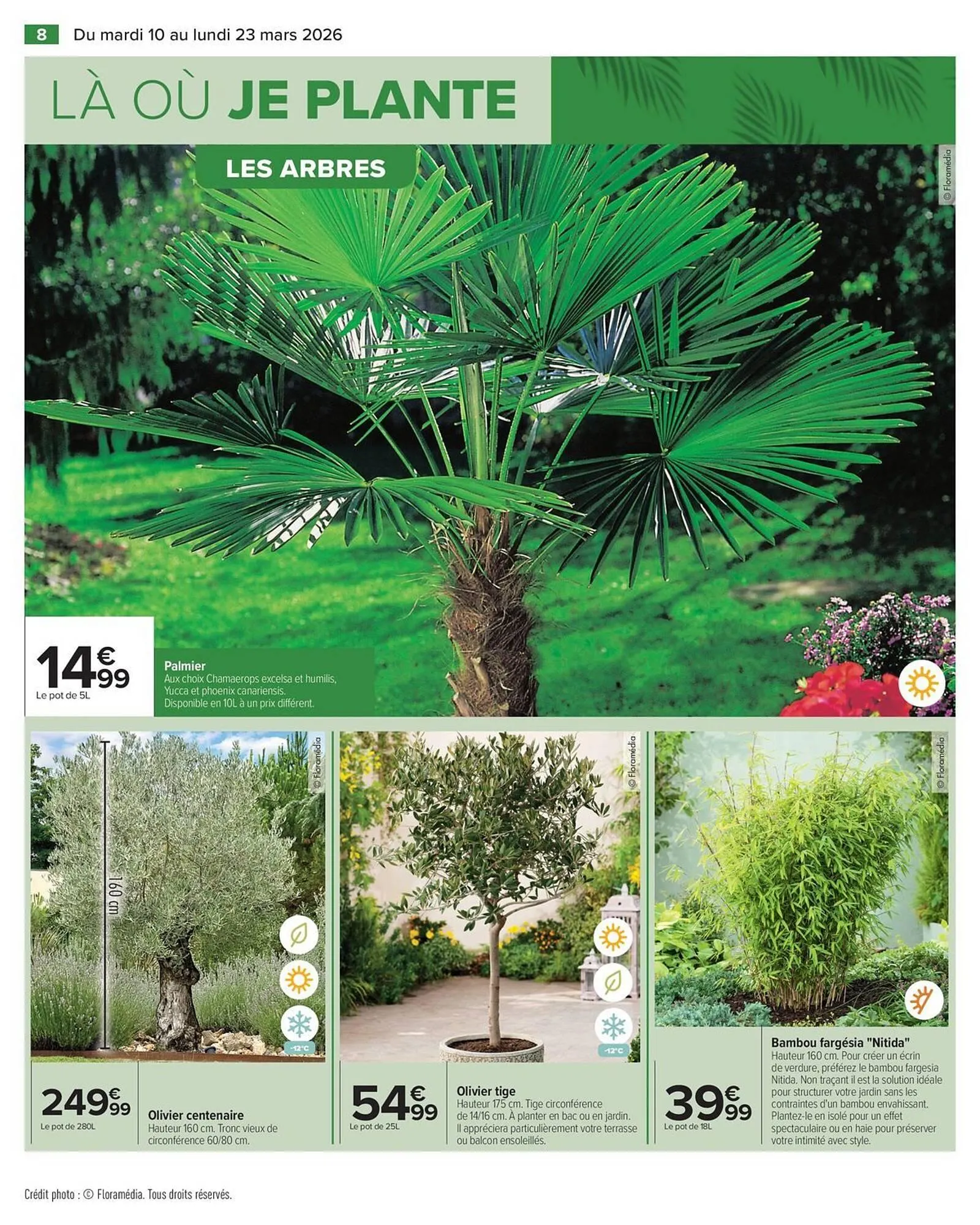 Catalogue Carrefour du 10 mars au 23 mars 2026 - Catalogue page 15