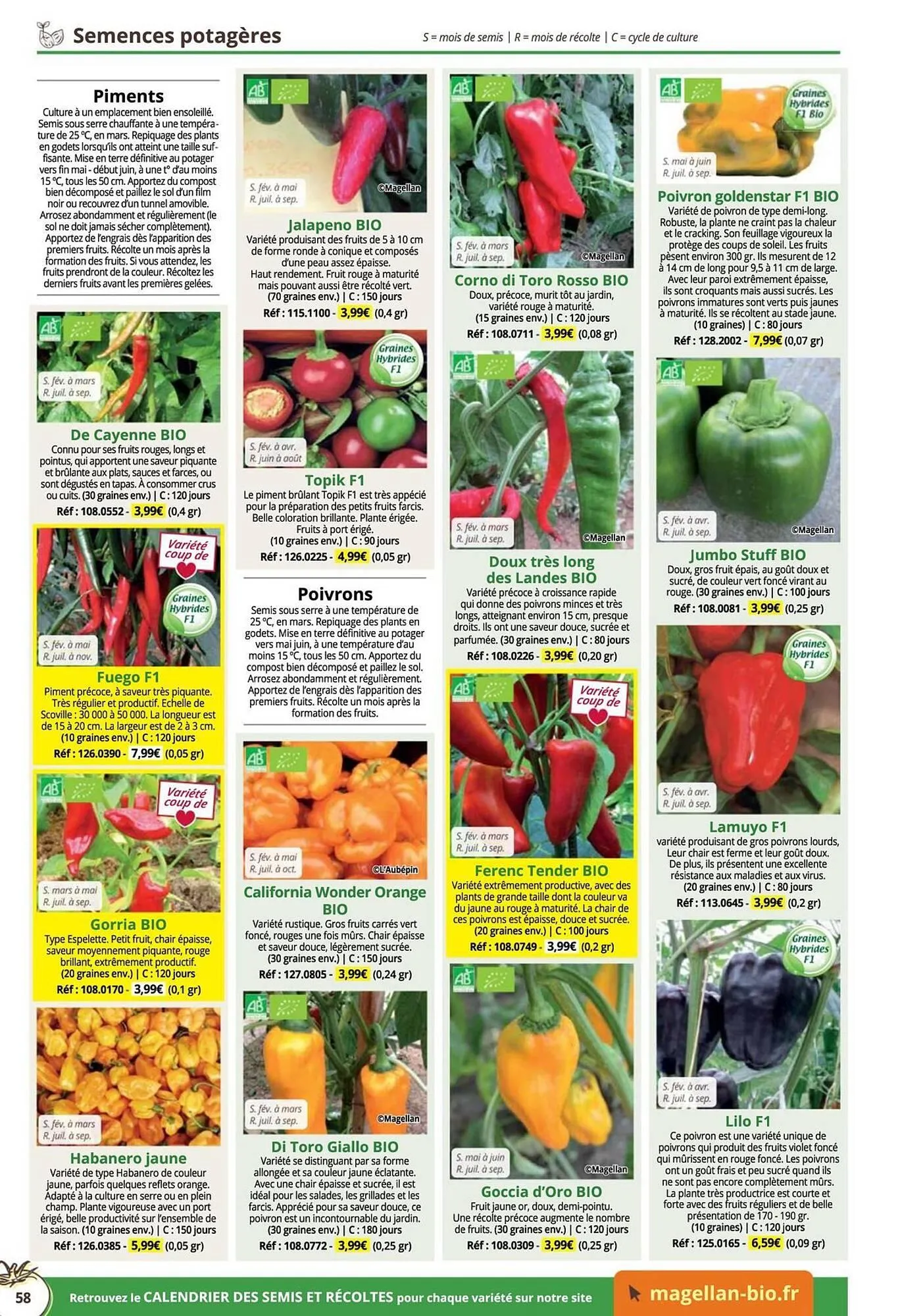 Catalogue Magellan du 16 décembre au 31 décembre 2025 - Catalogue page 58