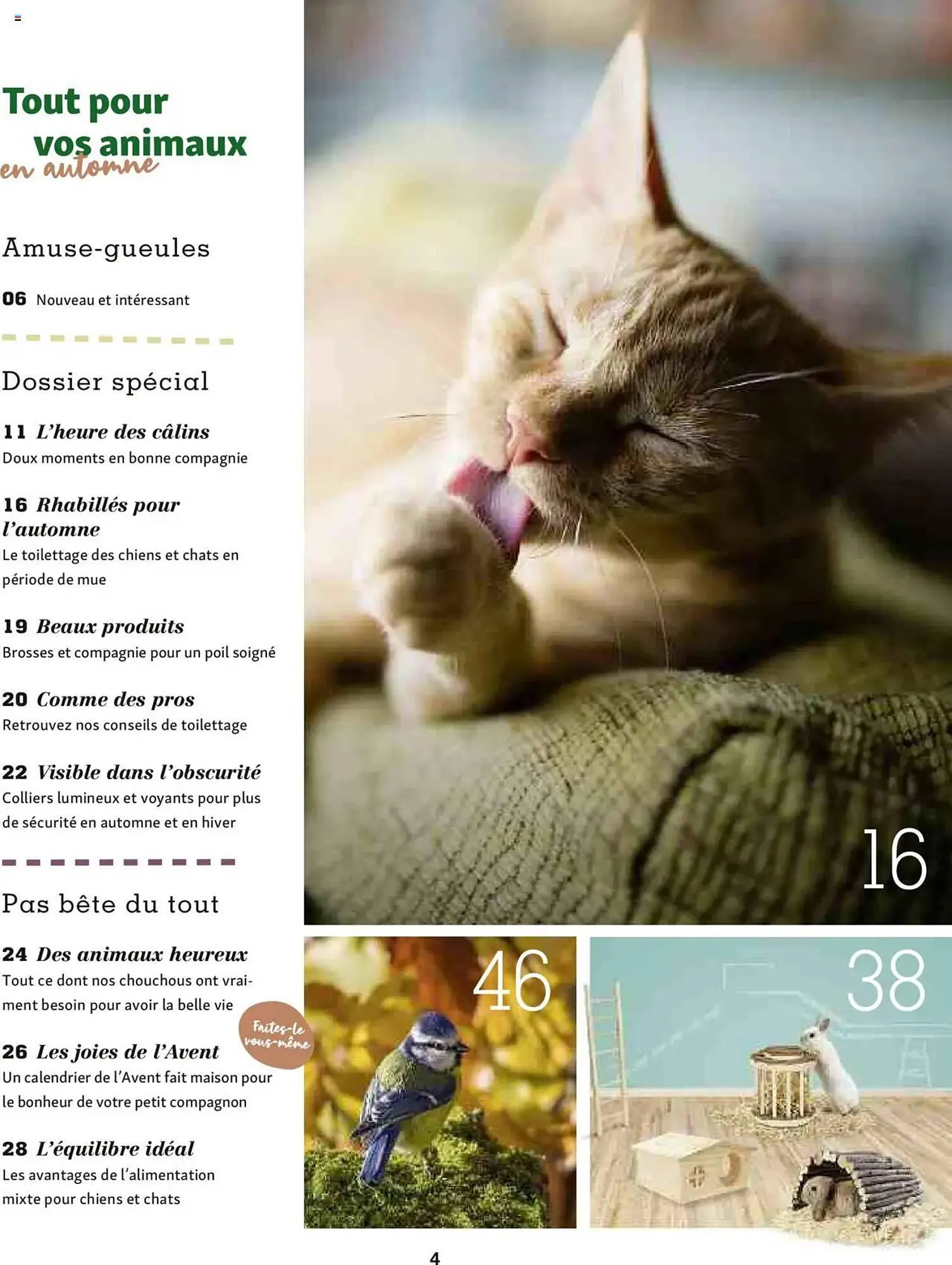 Catalogue Maxi Zoo du 1 octobre au 20 novembre 2025 - Catalogue page 4