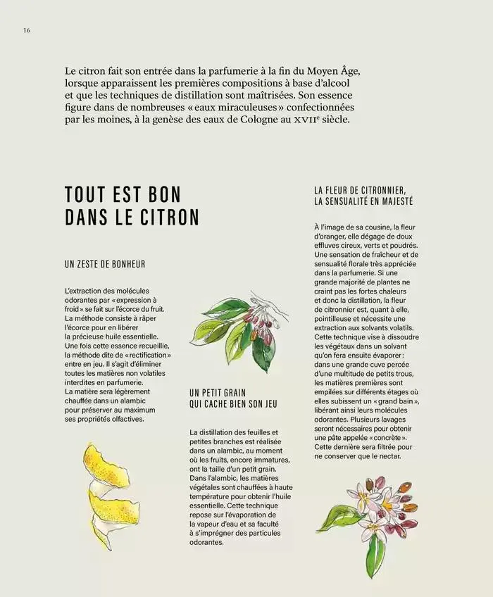 Printemps/Été 2025 du 17 mars au 23 septembre 2025 - Catalogue page 18