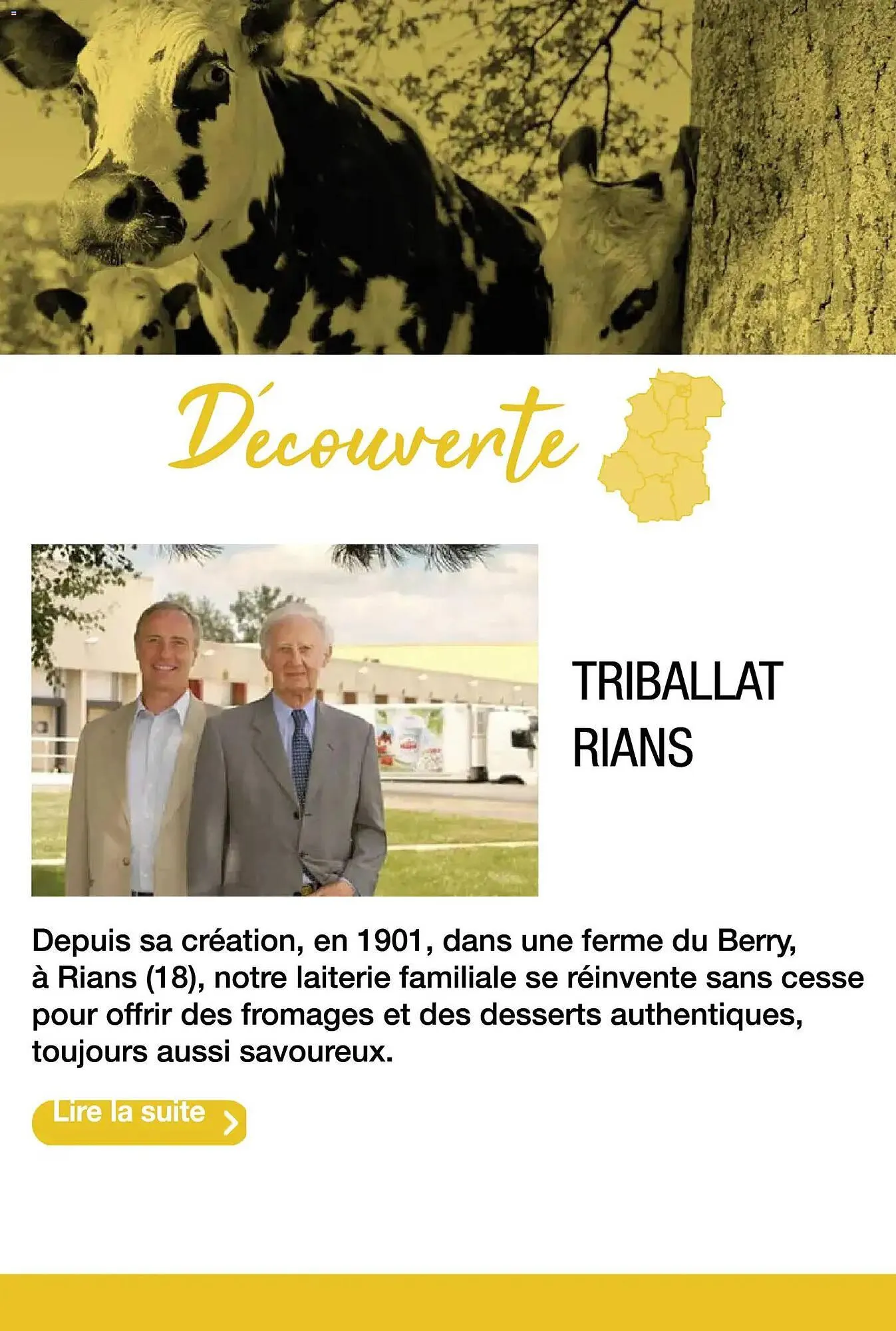 Catalogue Promocash du 19 novembre au 31 décembre 2025 - Catalogue page 32