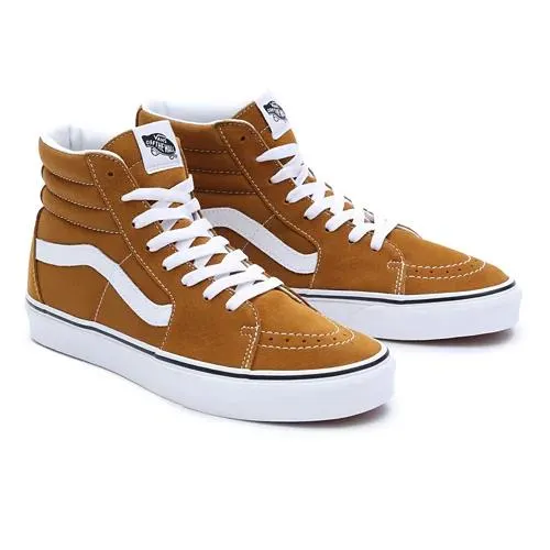 Chaussures Color Theory Sk8-Hi