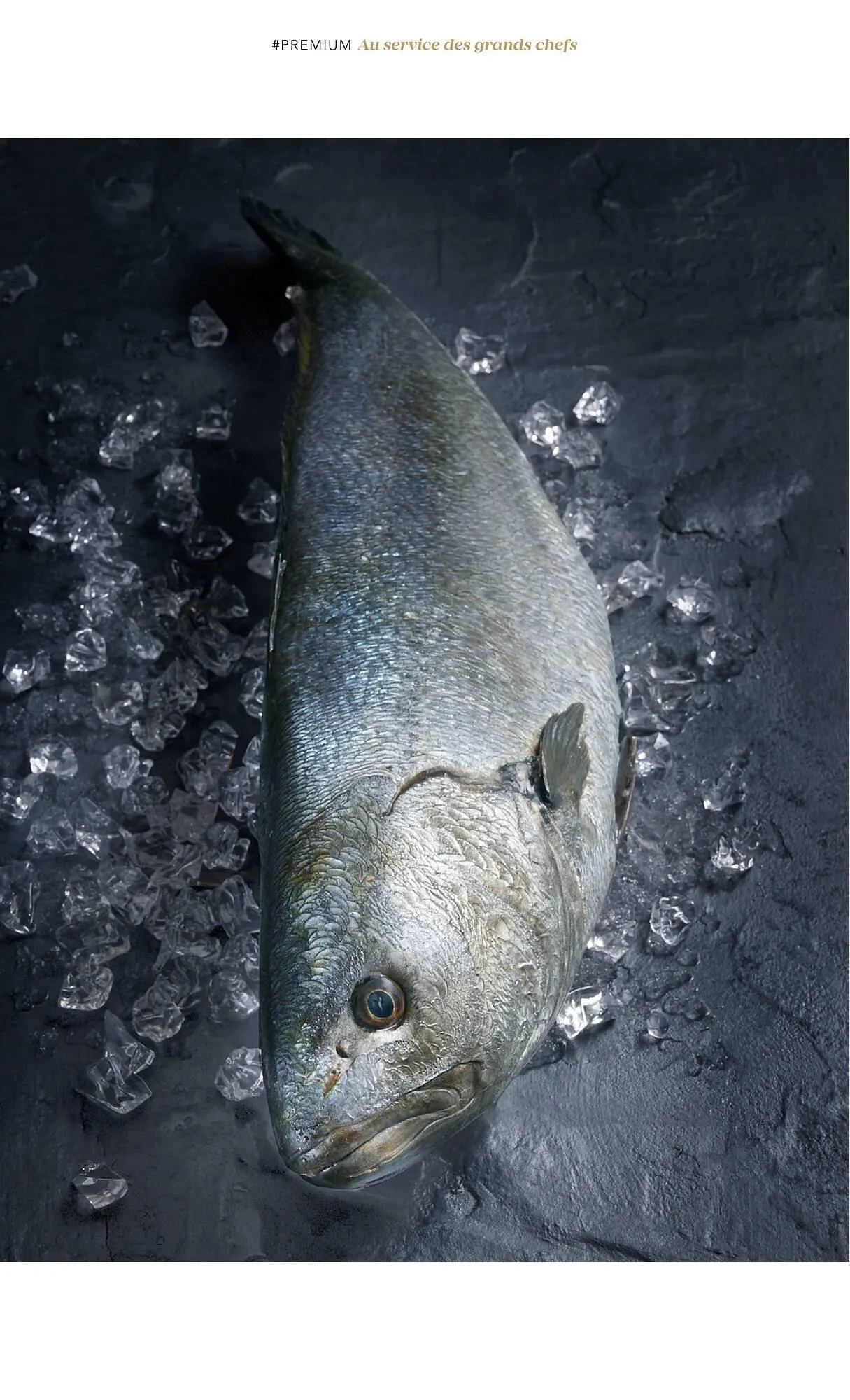 Catalogue METRO du 1 juillet au 31 décembre 2025 - Catalogue page 22