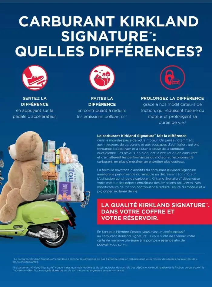 La main Verte du 12 mai au 31 décembre 2025 - Catalogue page 71