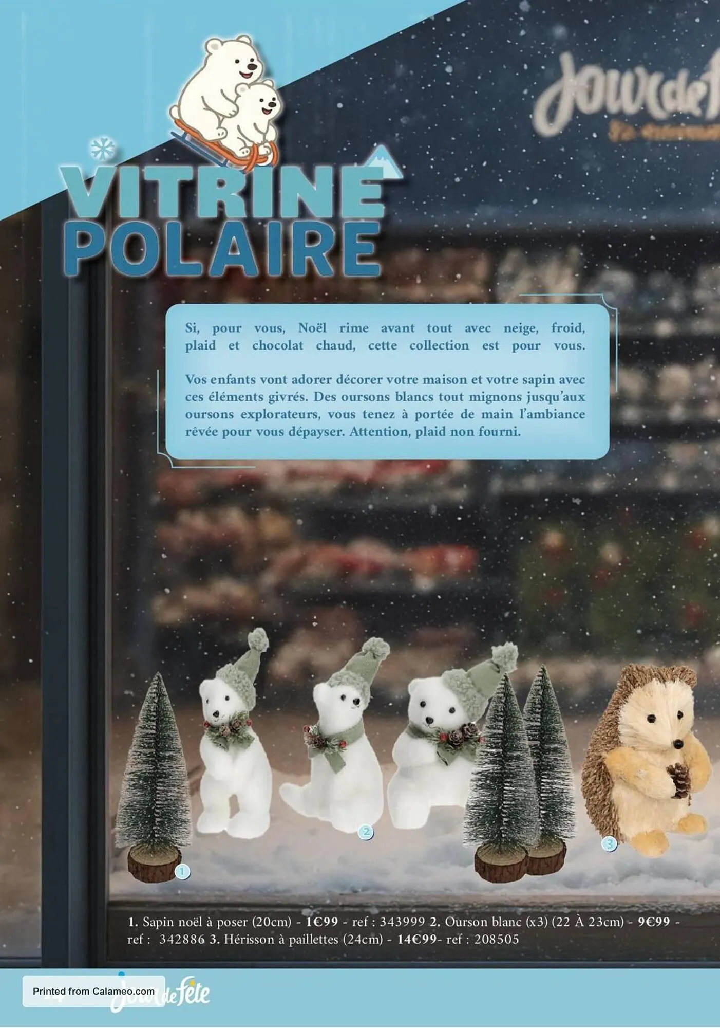 Catalogue Jour de Fête du 6 novembre au 1 janvier 2026 - Catalogue page 14