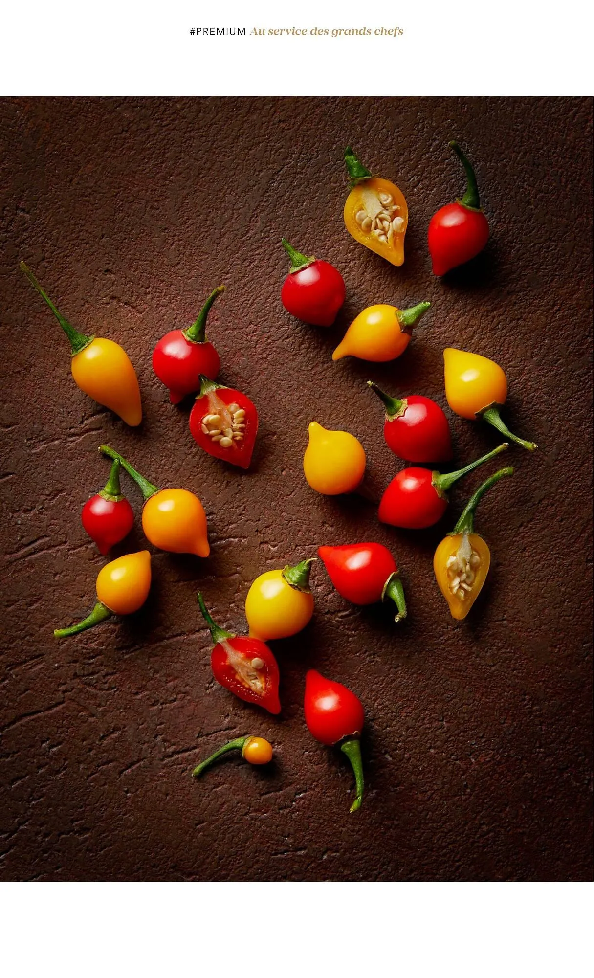 Catalogue METRO du 1 juillet au 31 décembre 2025 - Catalogue page 10